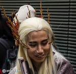IMG_7804.jpg
